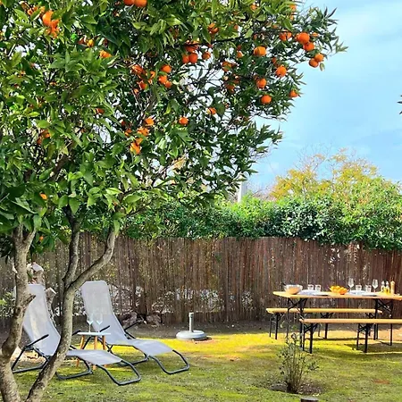 Marias 4 Season Holiday home Porches (Algarve)